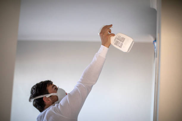 Best Kitchen Mold Remediation in Magnolia Springs, AL